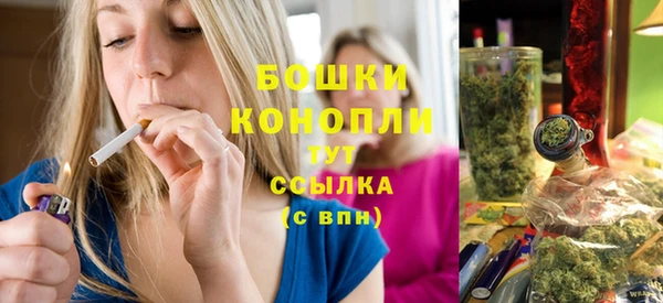spice Алексин